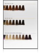 L’Oréal Professionnel Inoa ODS2 боя за коса цвят 10.12 Lightest Ash Iridescent Blonde 60 гр.