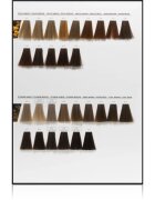 L’Oréal Professionnel Inoa ODS2 боя за коса цвят 10.12 Lightest Ash Iridescent Blonde 60 гр.