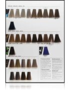 L’Oréal Professionnel Inoa ODS2 боя за коса цвят 10.12 Lightest Ash Iridescent Blonde 60 гр.