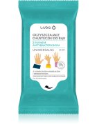 Luba Antibacterial Wet Wipes мокри почистващи кърпички за ръце 15 бр.