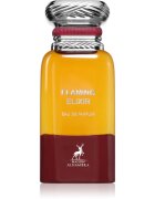 Maison Alhambra Flaming Elixir парфюмна вода унисекс 80 мл.