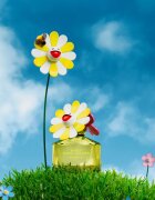 Marc Jacobs Daisy Murakami парфюмна вода за жени 50 мл.