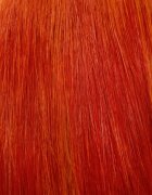 Maria Nila Colour Refresh Bright Copper нежна подхранваща маска без перманентни цветови пигменти издържа 4 – 10 измивания 7.40 300 мл.