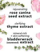 Mario Badescu Facial Spray with Aloe Herbs and Rosewater тонизираща мълга за лице за освежаване и хидратация 236 мл.