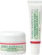 Mario Badescu Lip Care Duo подаръчен комплект за устни