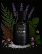Miraculum Noir Majesty Figure парфюмна вода за мъже 50 мл.