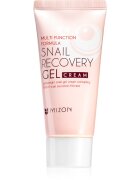 Mizon Multi Function Formula Snail гел за лице с екстракт от охлюви 45 мл.