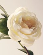 Moroccanoil L'Originale Eau de Parfum парфюмна вода за жени 100 мл.