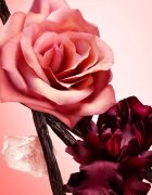 Narciso Rodriguez all of me intense парфюмна вода пълнител за жени 150 мл.
