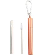 Naturalis Stainless Steel Straw Telescopic комплект за ежедневна употреба