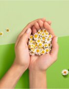 Naturella Normal Plus санитарни кърпи 18 бр.