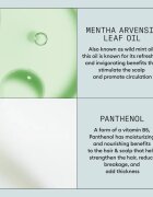 Nioxin Density Defend Styling Volumizing пяна втвърдител за обем 200 мл.