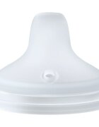 NUK Perfect Match Spare Spout резервен накрайник за пиене 6m+ 2 бр.