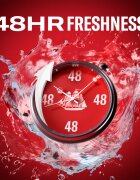 Old Spice Citron дезодорант стик за мъже 50 мл.
