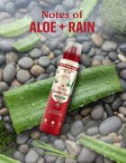 Old Spice Gentle Man's Aloe & Rain дезодорант в спрей без алуминий 140 мл.