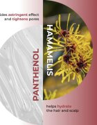 Olival Hamamelis шампоан за мазен скалп 250 мл.
