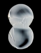 Omorovicza Queen Cleanser хидратиращ почистващ крем за лице 150 мл.
