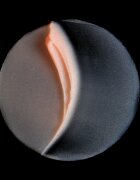 Omorovicza Queen Cream дневен крем за възстановяване стегнатостта на кожата с матиращ ефект 30 мл.