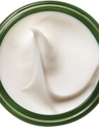 Origins A Perfect World™ Antioxidant Moisturizer With White Tea подхранващ антиоксидантен крем 50 мл.