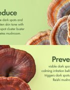 Origins Dr. Andrew Weil for ™ Mega-Mushroom Dark Spot Moisturizer уеднаквяващ тена хидратиращ крем против несъвършенства на кожата 50 мл.