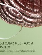 Origins Dr. Andrew Weil for ™ Mega-Mushroom Fortifying Emulsion with Reishi and Seabuckthorn успокояваща и хидратираща емулсия 100 мл.