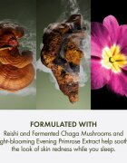 Origins Dr. Andrew Weil for ™ Mega-Mushroom Overnight Recovery Cream успокояваща и хидратираща маска за нощ 50 мл.