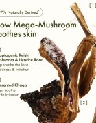 Origins Dr. Andrew Weil for ™ Mega-Mushroom Relief & Resilience Soothing Treatment Lotion омекотяващ и успокояващ лосион за лице 200 мл.