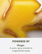 Origins Ginger Essence Sensuous Skin Scent Парфюмирана мъгла за тяло и коса за жени 100 мл.