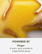 Origins Ginger Essence™ Sensuous Skin Scent Rollerball стимулиращ рол-он унисекс 10 мл.