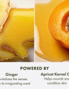 Origins Ginger Souffle™ Whipped Body Cream нежен крем за тяло 200 мл.