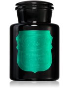 Paddywax Apothecary Noir Tabac & Pine ароматна свещ 226 гр.