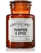 Paddywax Apothecary Pumpkin Spice ароматна свещ 226 гр.