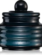 Paddywax Beam Saltwater & Suede ароматна свещ 85 гр.