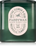 Paddywax Vista Cactus Flower & Aloe ароматна свещ 340 гр.