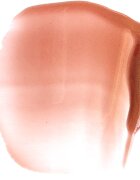 Paese Beauty Lipgloss With Meadowfoam Seed Oil хидратиращ блясък за устни цвят 05 Glazed 34 мл.