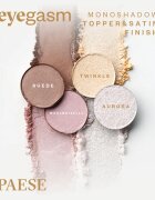 Paese Eyegasm Eyeshadow дълготрайни сенки за очи цвят 22 Mist 1.5 гр.