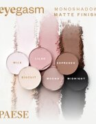 Paese Eyegasm Eyeshadow дълготрайни сенки за очи цвят 22 Mist 1.5 гр.