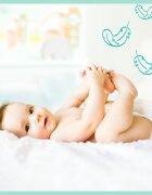 Pampers Premium Care Size 2 еднократни пелени 4-8kg 46 бр.