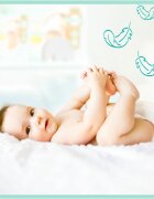 Pampers Premium Care Size 4 еднократни пелени 9-14 kg 52 бр.