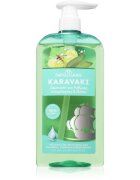 PAPOUTSANIS Karavaki Control & Detox шампоан за мазна и суха кожа на скалпа 600 мл.