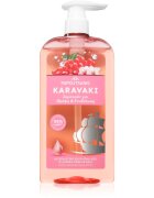 PAPOUTSANIS Karavaki Nutrition & Hydration подхранващ шампоан 600 мл.