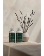 Paul Mitchell Tea Tree Lavender Mint хидратиращ успокояващ балсам за суха и непокорна коса 300 мл.