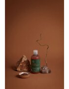 Paul Mitchell Tea Tree Special Color шампоан за защита на боядисана коса 300 мл.
