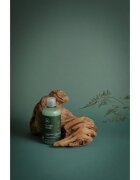 Paul Mitchell Tea Tree Special освежаващ шампоан 300 мл.