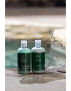 Paul Mitchell Tea Tree Special освежаващ шампоан 300 мл.