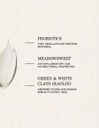 Payot Pâte Grise Masque Purifiant Rééquilibrant почистваща маска за мазна кожа 75 мл.