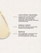 Payot Source Nutrition подхранващ балсам за суха кожа 20 гр.