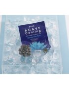 Petitfee Agave Cooling интензивна хидрогелна маска за успокояване на кожата 32 гр.