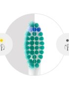 Philips Sonicare ProResults HX6014/87 резервни глави за четка за зъби 4 бр.
