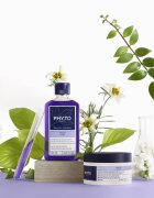 Phyto Violet No Yellow Shampoo тониращ шампоан за блонд коса и коса с кичури 250 мл.